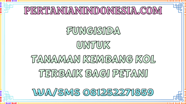 Fungisida Untuk Tanaman Kembang Kol Terbaik Bagi Petani